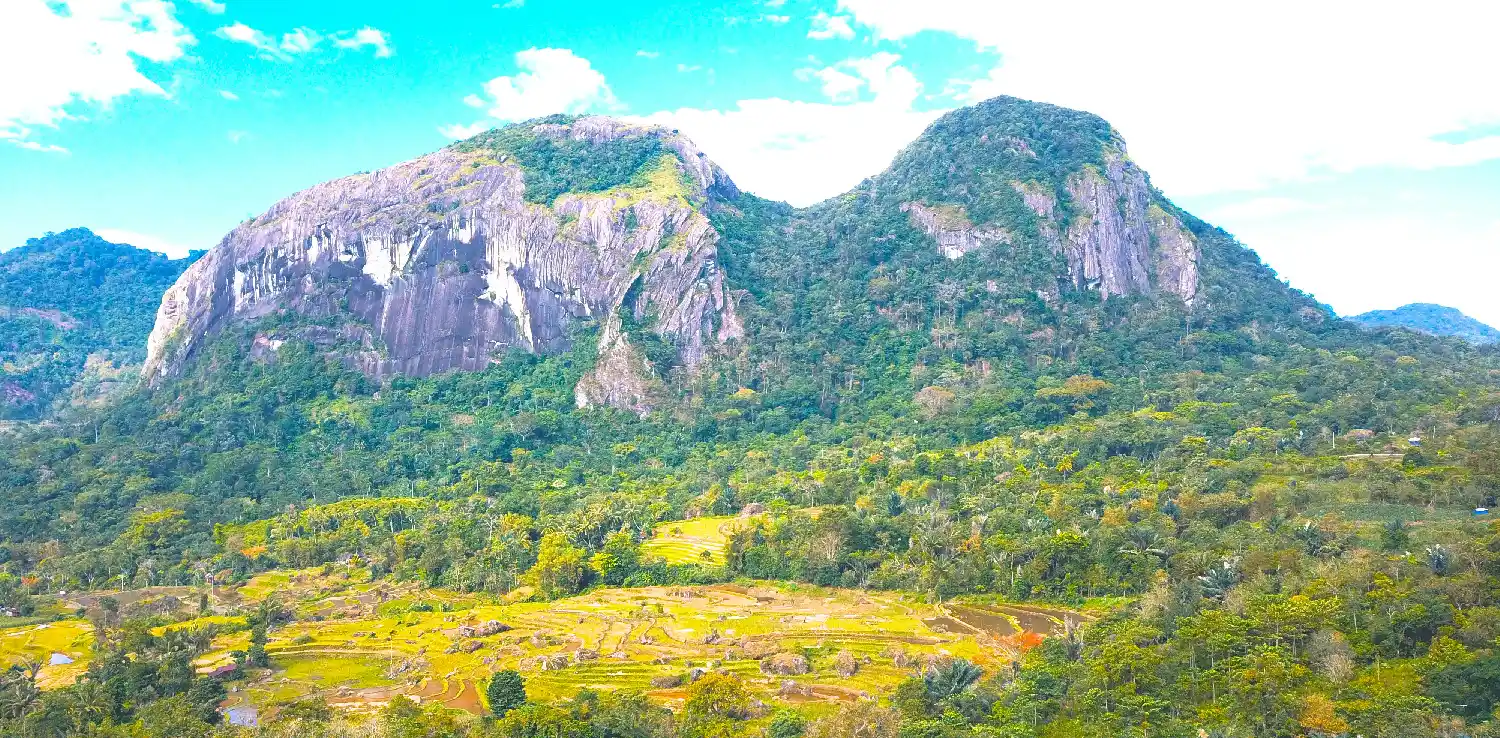 Ilustrasi wisatawan di pantai atau gunung