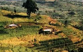 Pola pemukiman tersebar di perbukitan